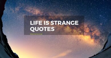 Life is strange quotes