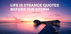 Life is strange quotes before the storm