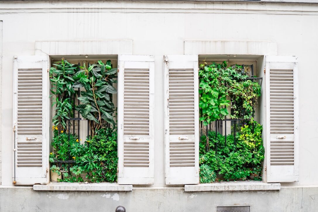 3 Tips on How to Choose the Right Type of Window Shutters for Your Home