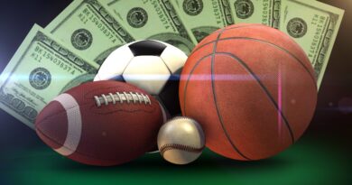 Five Ideal Sports for Novice Bettors